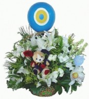 /album/anthurium/bebek-arajman-1-jpg1/